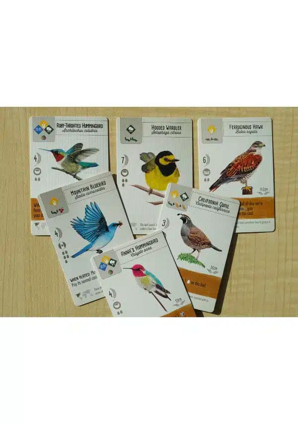 Wingspan 2